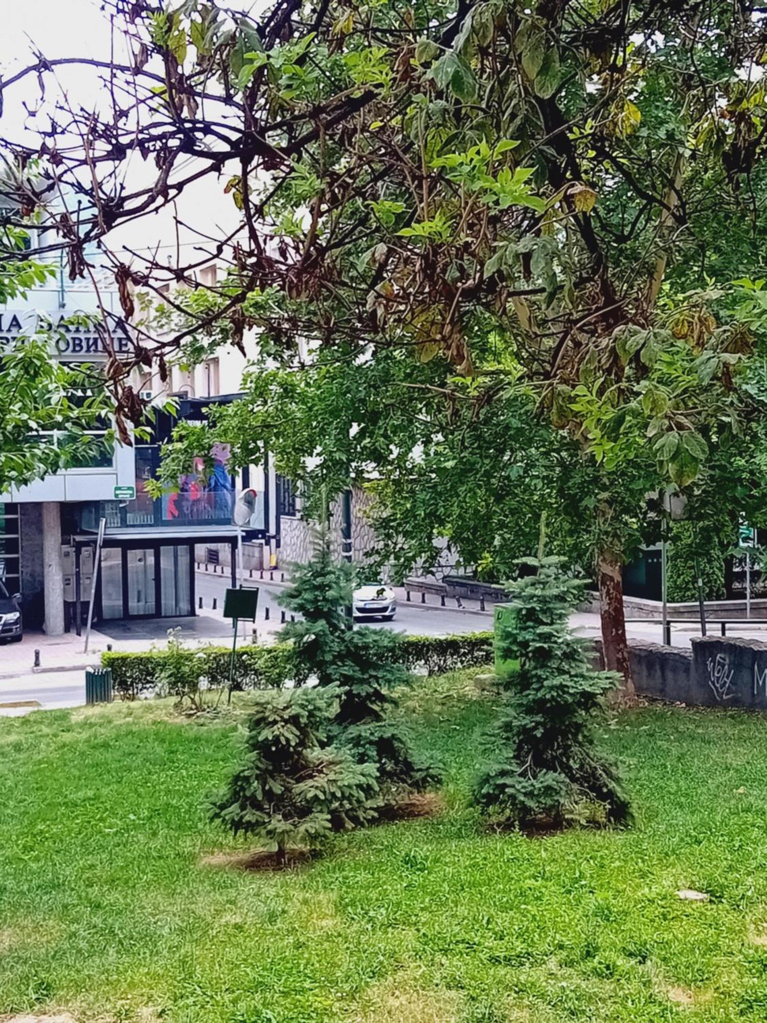 Floki Studio In The Center Сараево Екстериор снимка